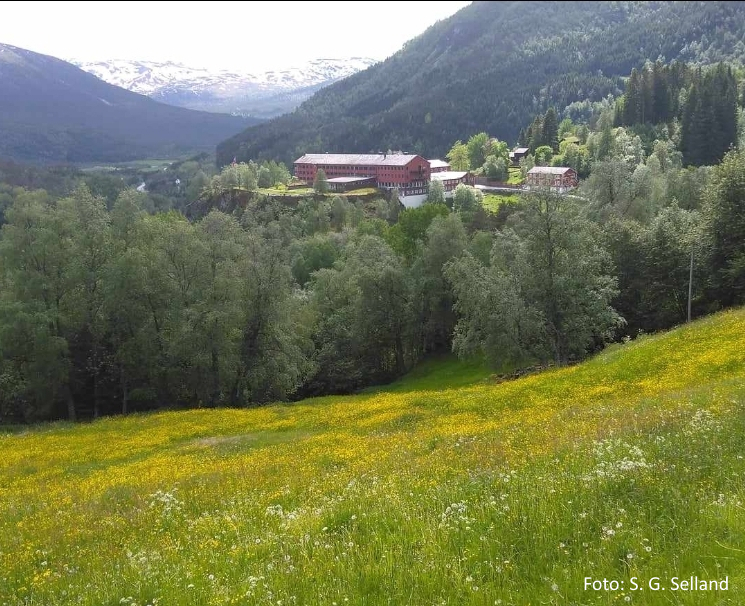 Seminar & Årsmøte 2024 - Stalheim 28-29 september